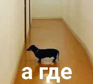 Стикер no bitches? @Stikerhi_bot - 10