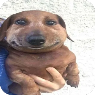 Sticker СКВАД ТОПОВЫХ ФЕМИНИСТОК - 11