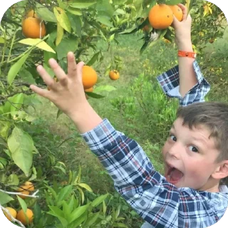 Sticker СКВАД ТОПОВЫХ ФЕМИНИСТОК - 10