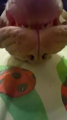 Sticker SKaktUEqj1_by_Shrifty_textbot - 1