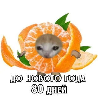 Стикер Больше стиков тут: @stikery4 - 6