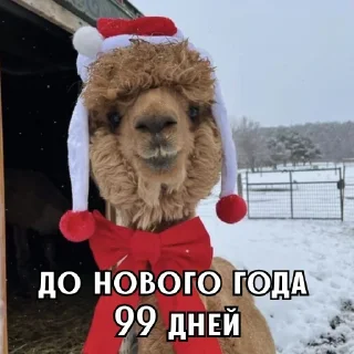 Стикер Больше стиков тут: @stikery4 - 7