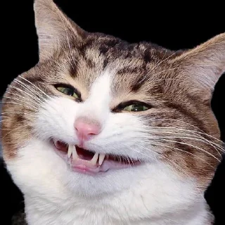 Sticker Ггг @Stikerhi_bot - 1