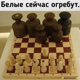 Стикер Типолютимегопон228суперсигма @HoroScopRoBot - 6