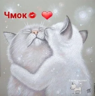 Sticker 🥰🫶NIKITA and ❤️‍🔥🫶ПУЛЯ🫶=❤ @StikerProbot - 10