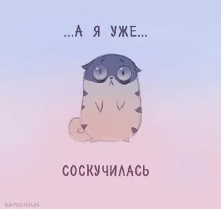 Sticker 🥰🫶NIKITA and ❤️‍🔥🫶ПУЛЯ🫶=❤ @StikerProbot - 1