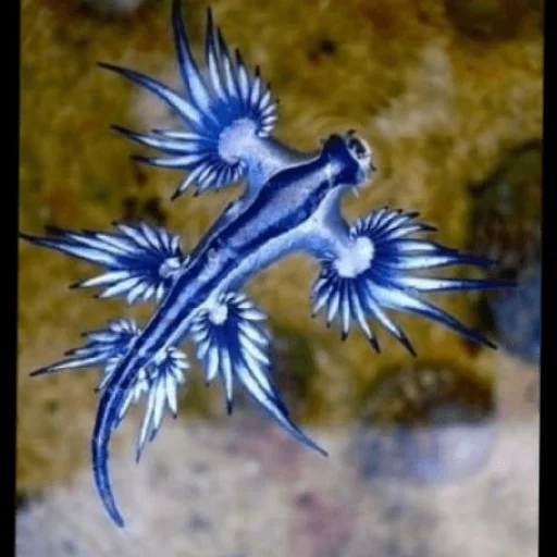 Sticker С любовью Скарахуй - 9