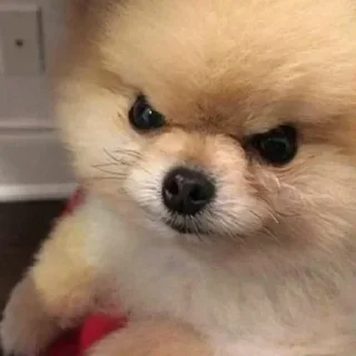 Стикер Больше стиков тут: @stikery4 - 1