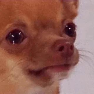 Стикер Больше стиков тут: @stikery4 - 0