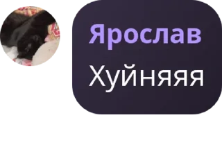 Стикер 😎Пожилые Snowflexa
@XpaHuTeJIb_qpAyCTa
@maener0 - 3