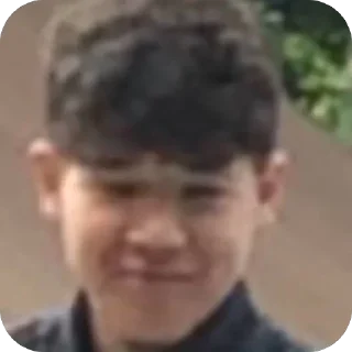 Sticker СНОВАСОСЕТ - 2