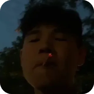 Sticker СНОВАСОСЕТ - 10