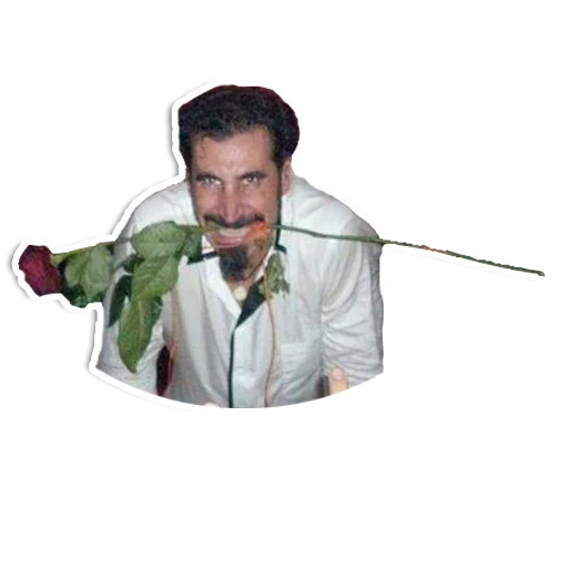 Стикер SOAD - 2