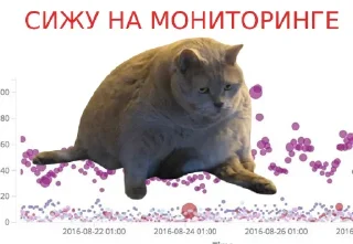 Стикер SOKol - 5