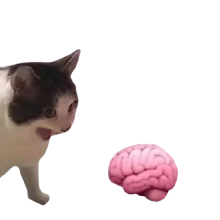 Стикер SOKol - 2