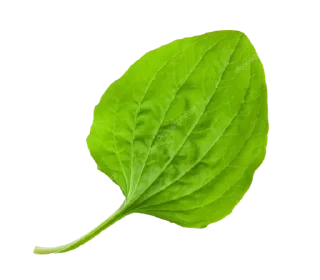 Стикер SOKol - 3