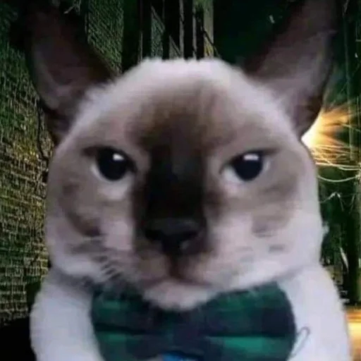 Sticker SOMEOWMEW - 1