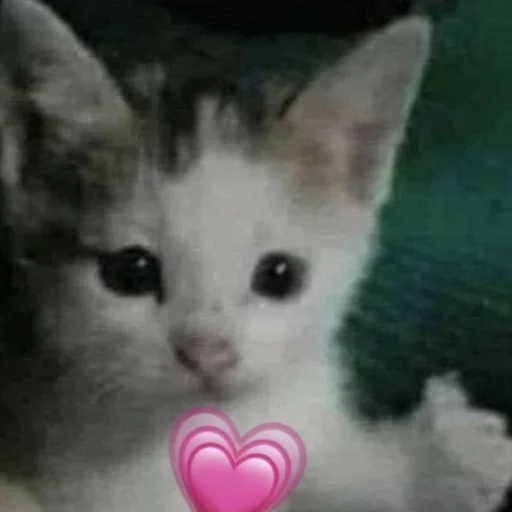 Sticker SOMEOWMEW - 1