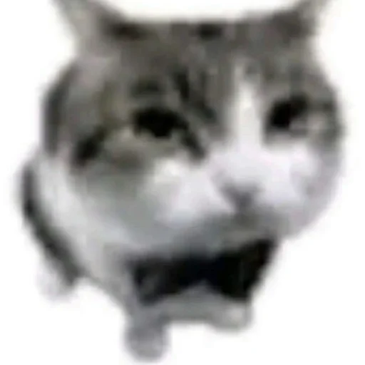 Стикер SOMEOWMEW - 1