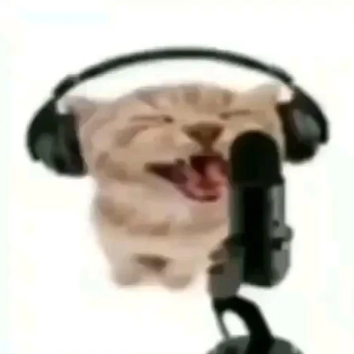 Sticker SOMEOWMEW - 1