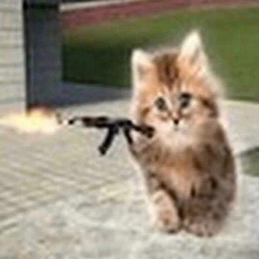 Sticker SOMEOWMEW - 1