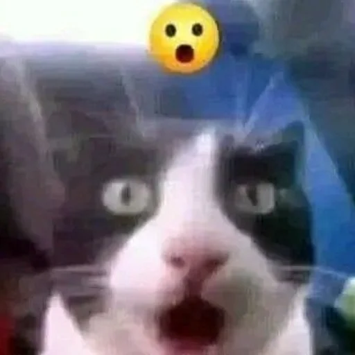 Sticker SOMEOWMEW - 1