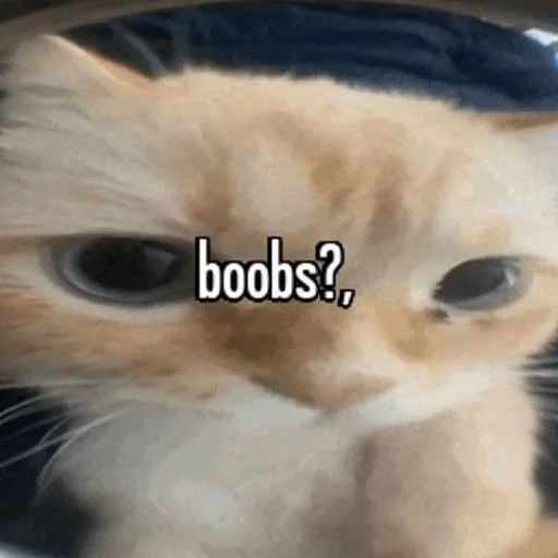 Sticker SOMEOWMEW - 1