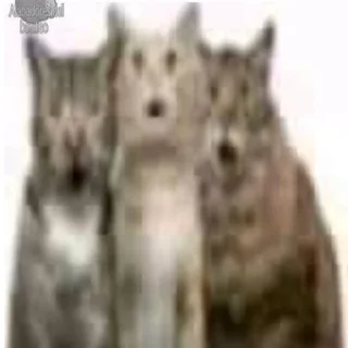 Sticker \•°So fuckin meow-meow°•\ - 5