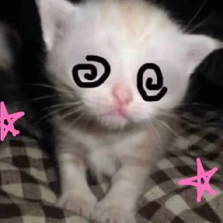 Sticker \•°So fuckin meow-meow°•\ - 3