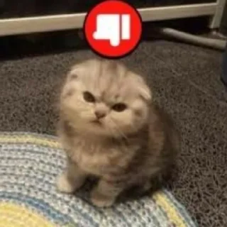 Sticker \•°So fuckin meow-meow°•\ - 11