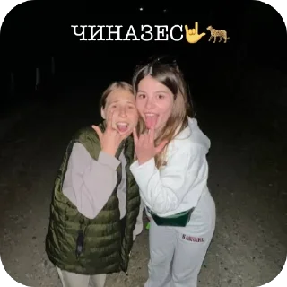 Стикер SOS💔🐆 - 4