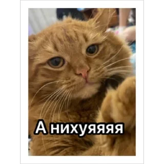 Sticker 59/SLZ stic - 3