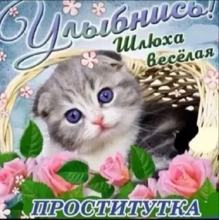 Sticker Больше стикеров 👉🏻 @stickertg4 - 0