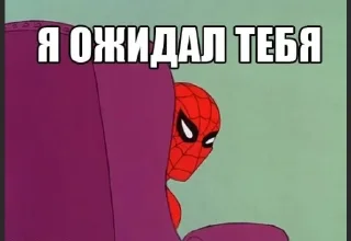 Sticker MEME SPIDER MAN 1967 - 6