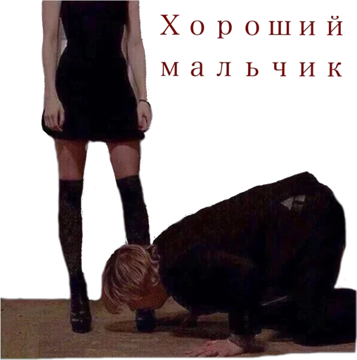 Sticker SPkx8PdrMx_by_sticker_emojibot - 1