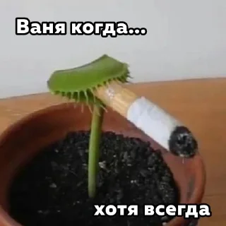 Sticker Больше стиков тут: @stikery4 - 4