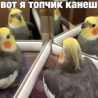 Sticker Больше стикеров 👉🏻 @stickertg4 - 2