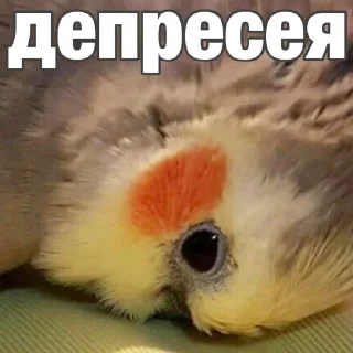 Sticker Больше стикеров 👉🏻 @stickertg4 - 8