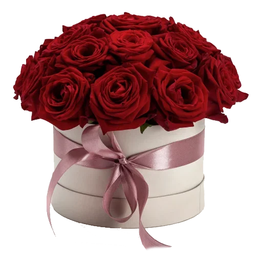 Sticker SRFTRFONEE_by_stikers_du_ark_bot - 1