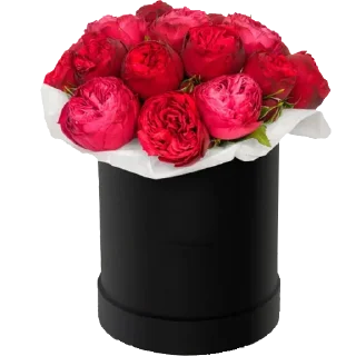 Стикер @sticksbb 🩷 <- канал со стиками - 8