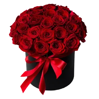 Стикер @sticksbb 🩷 <- канал со стиками - 5