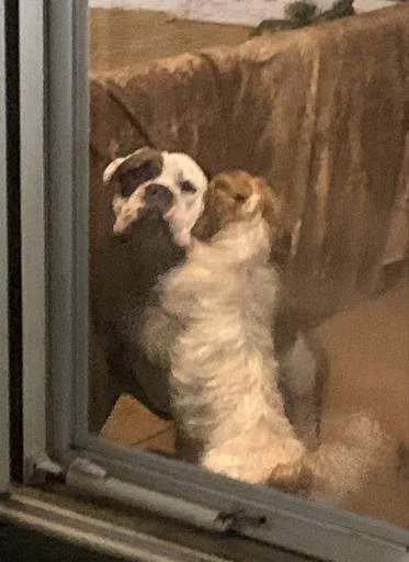 Говно @KawaiiRUbot @Anonroll_bot - 