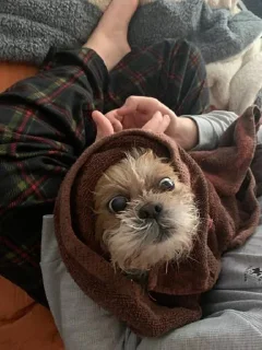 Sticker Говно @KawaiiRUbot @Anonroll_bot - 7