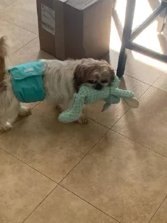 Sticker Говно @KawaiiRUbot @Anonroll_bot - 0