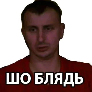 Sticker SRILDOVAN 2.0 (by Fladik) - 11