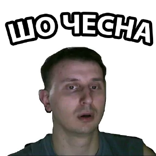 Sticker SRILDOVAN 2.0 (by Fladik) - 9