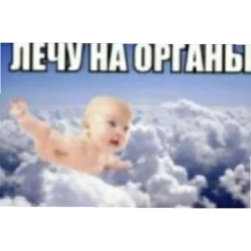 Sticker SRNwZdB_by_achestickbot - 1