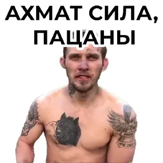 Стикер SRPolit - 1