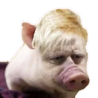 Стикер SRPolit - 3