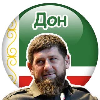 Стикер SRPolit - 2